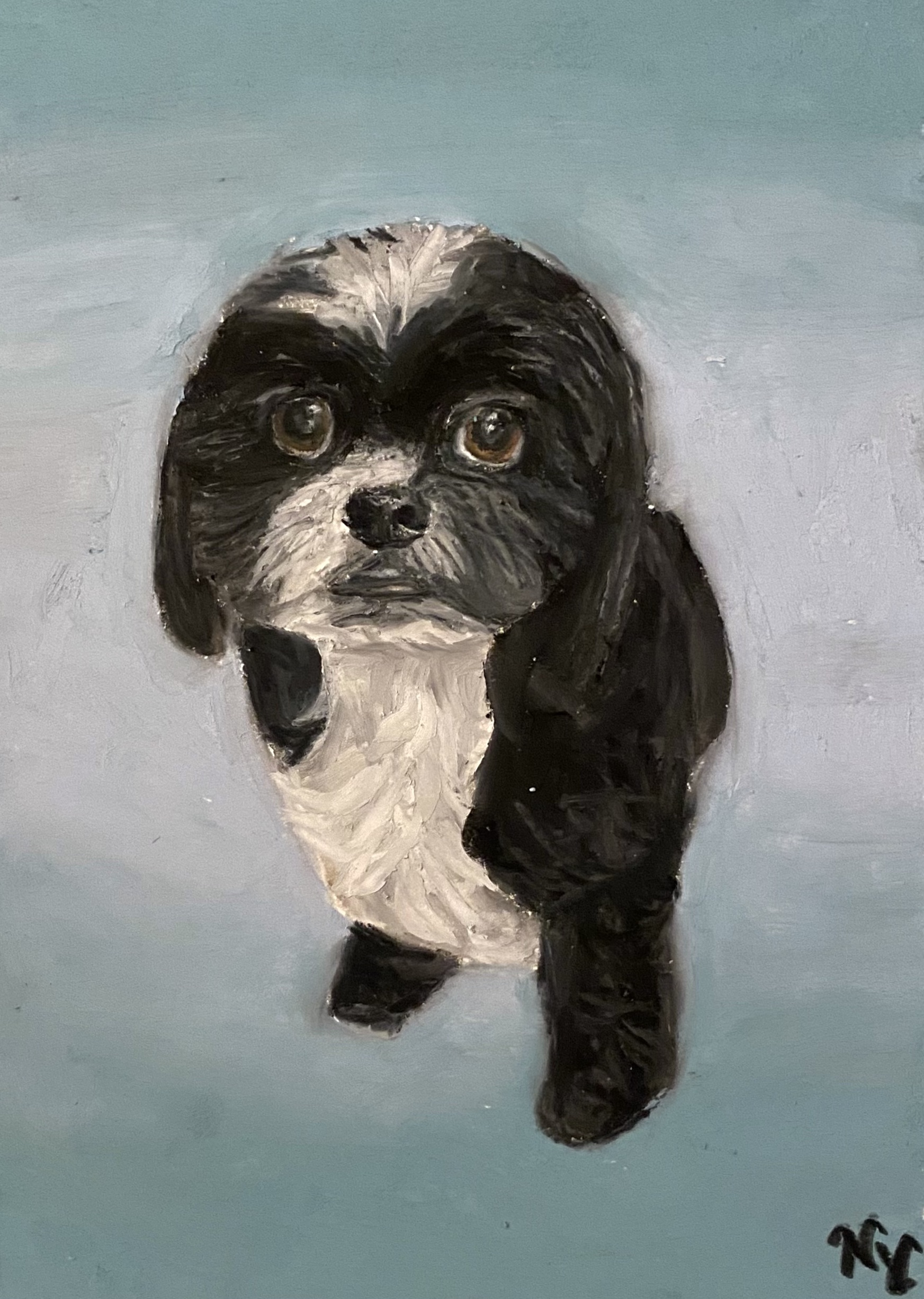 Custom pet portrait